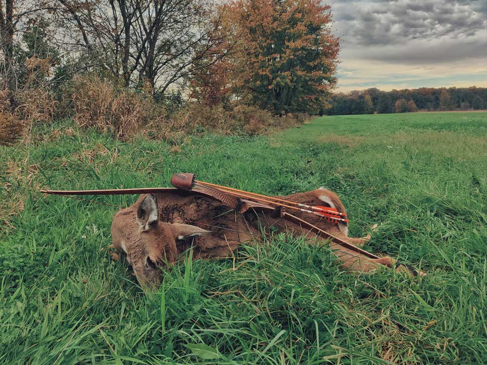 deer with traditional bow