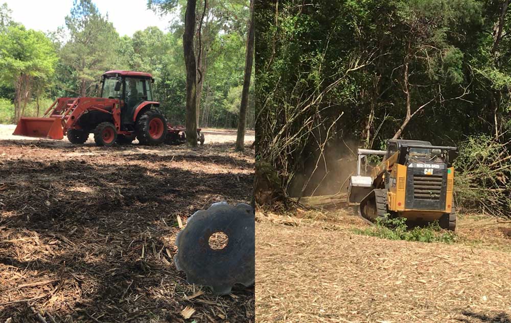 discing mulching food plot