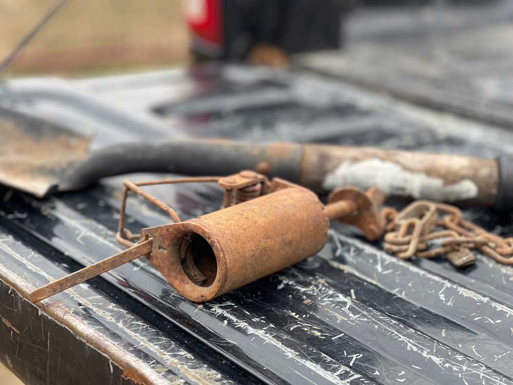 dog proof trap on tailgate