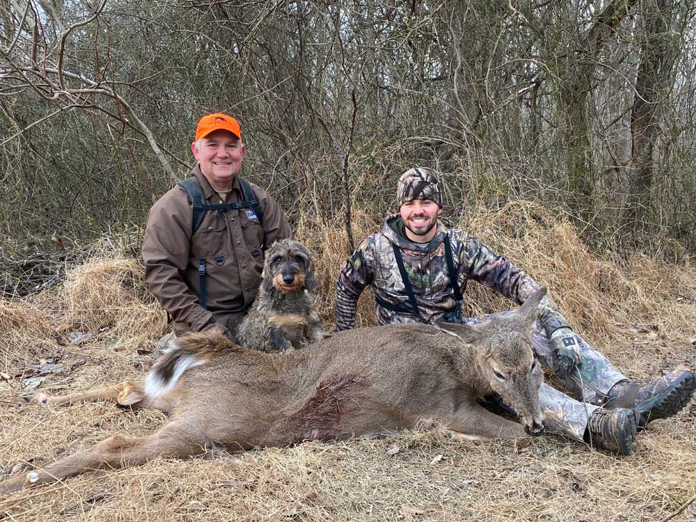 deer tracked with dog