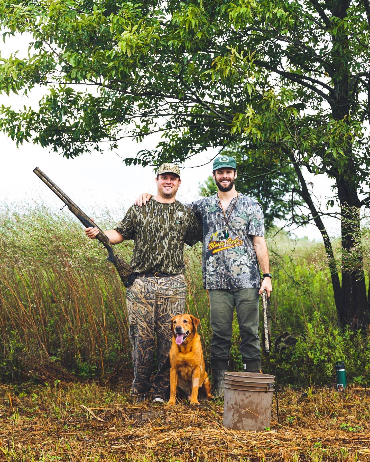 dove hunting dogs