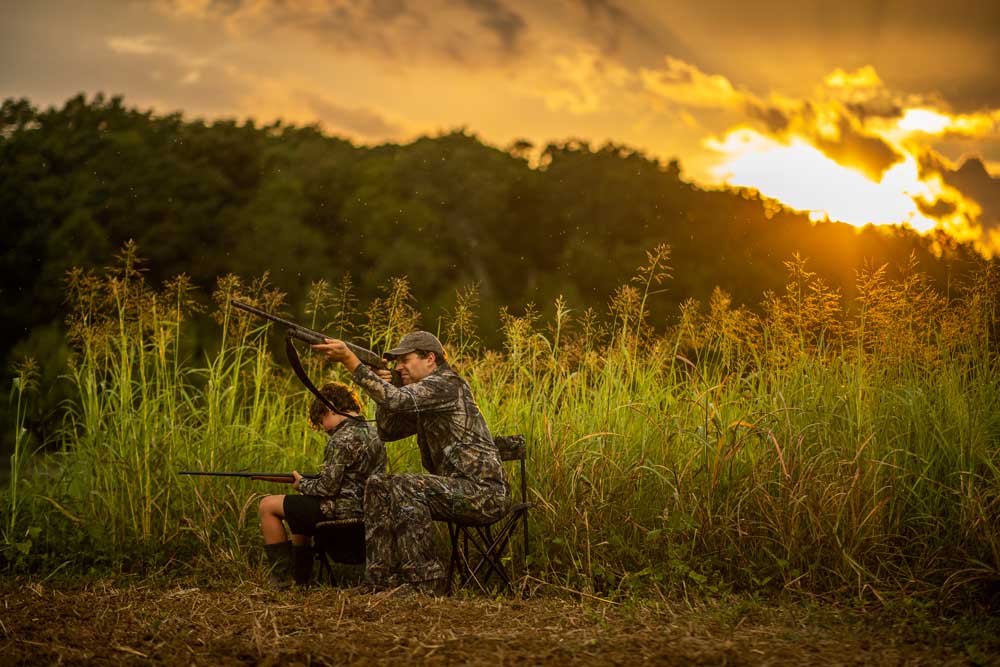 dove shoot