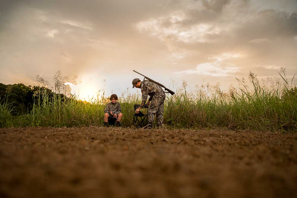 dove hunting