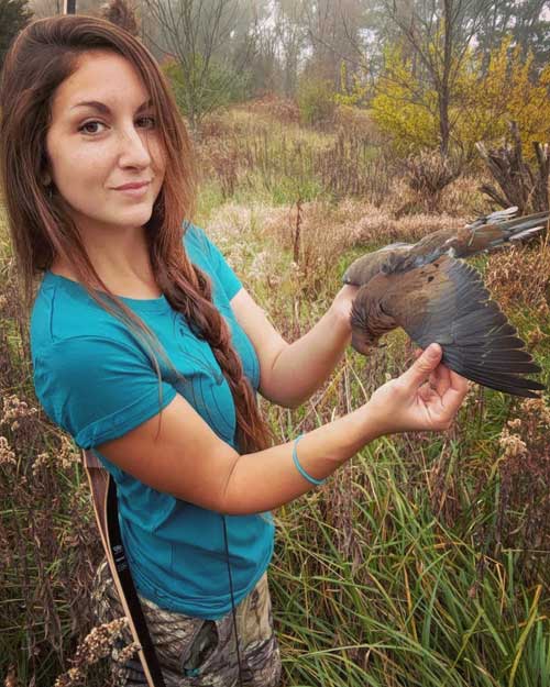 dove hunting with bow