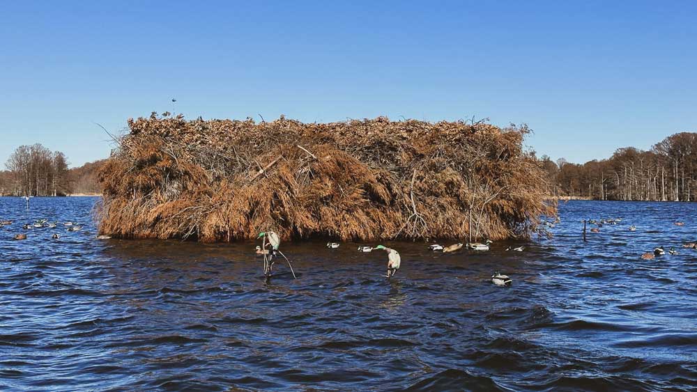 duck blind on water