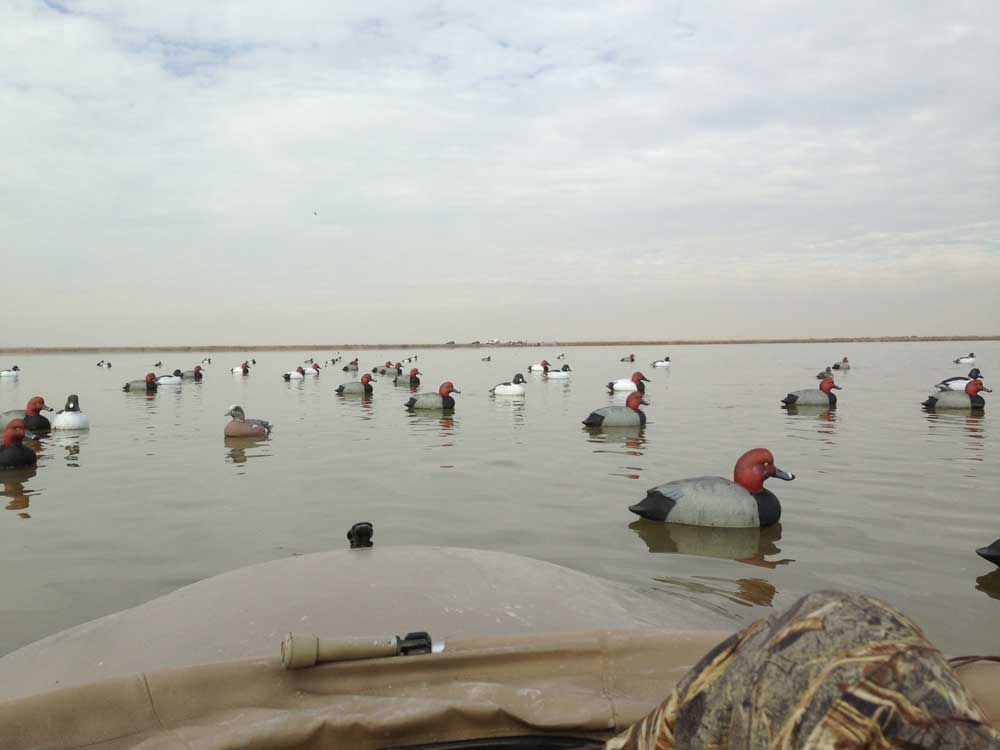 duck decoy setup