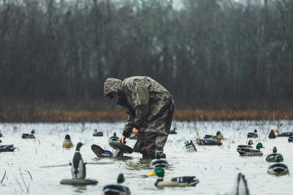 duck decoy setup