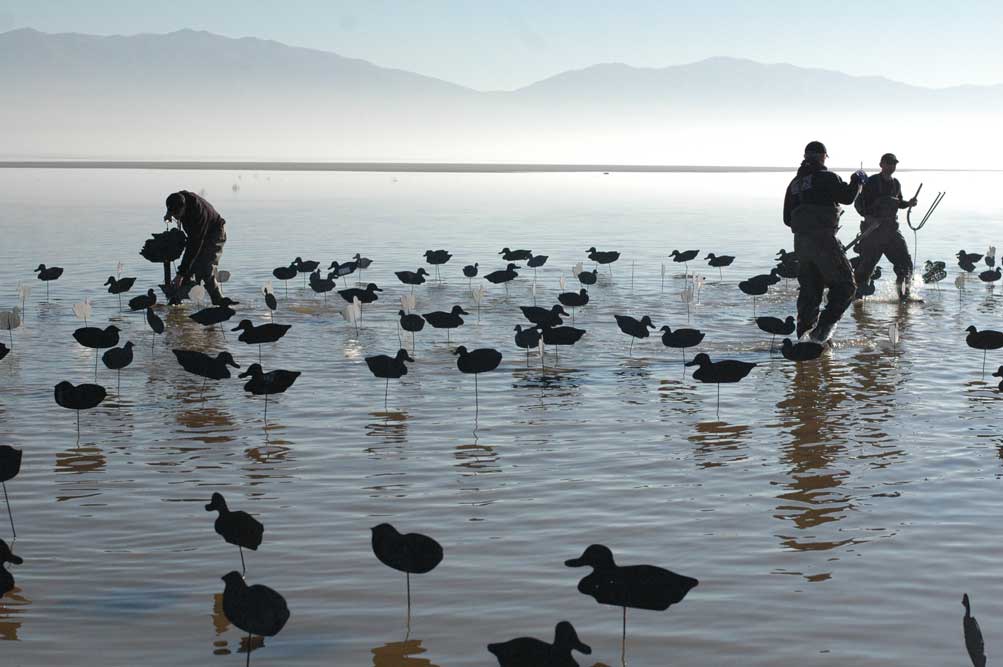 duck hunters setting out decoys