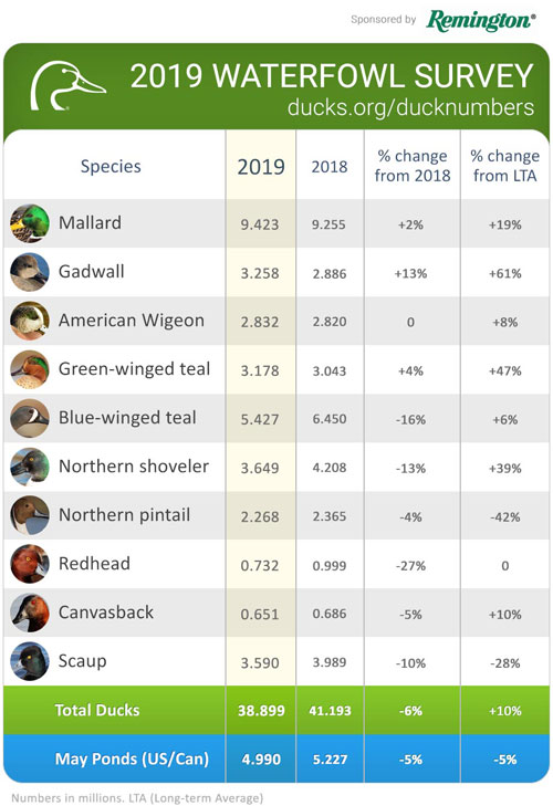 2019 duck survey