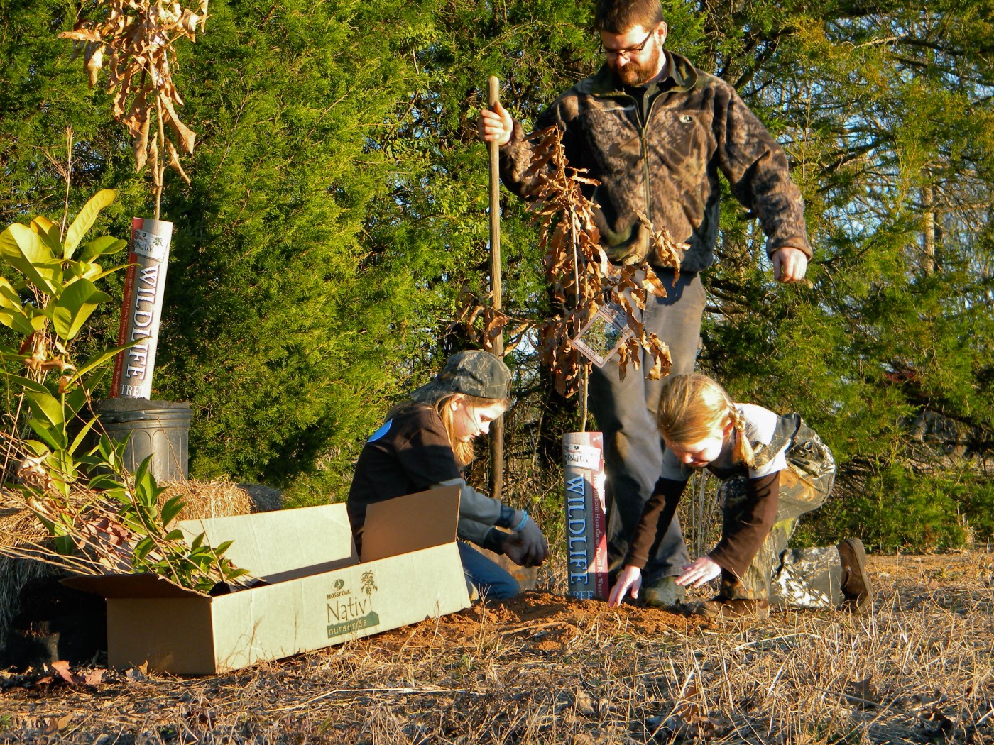 man planting trees with two daughters