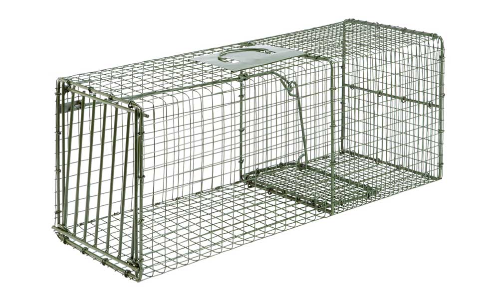 duke dog proof cage trap