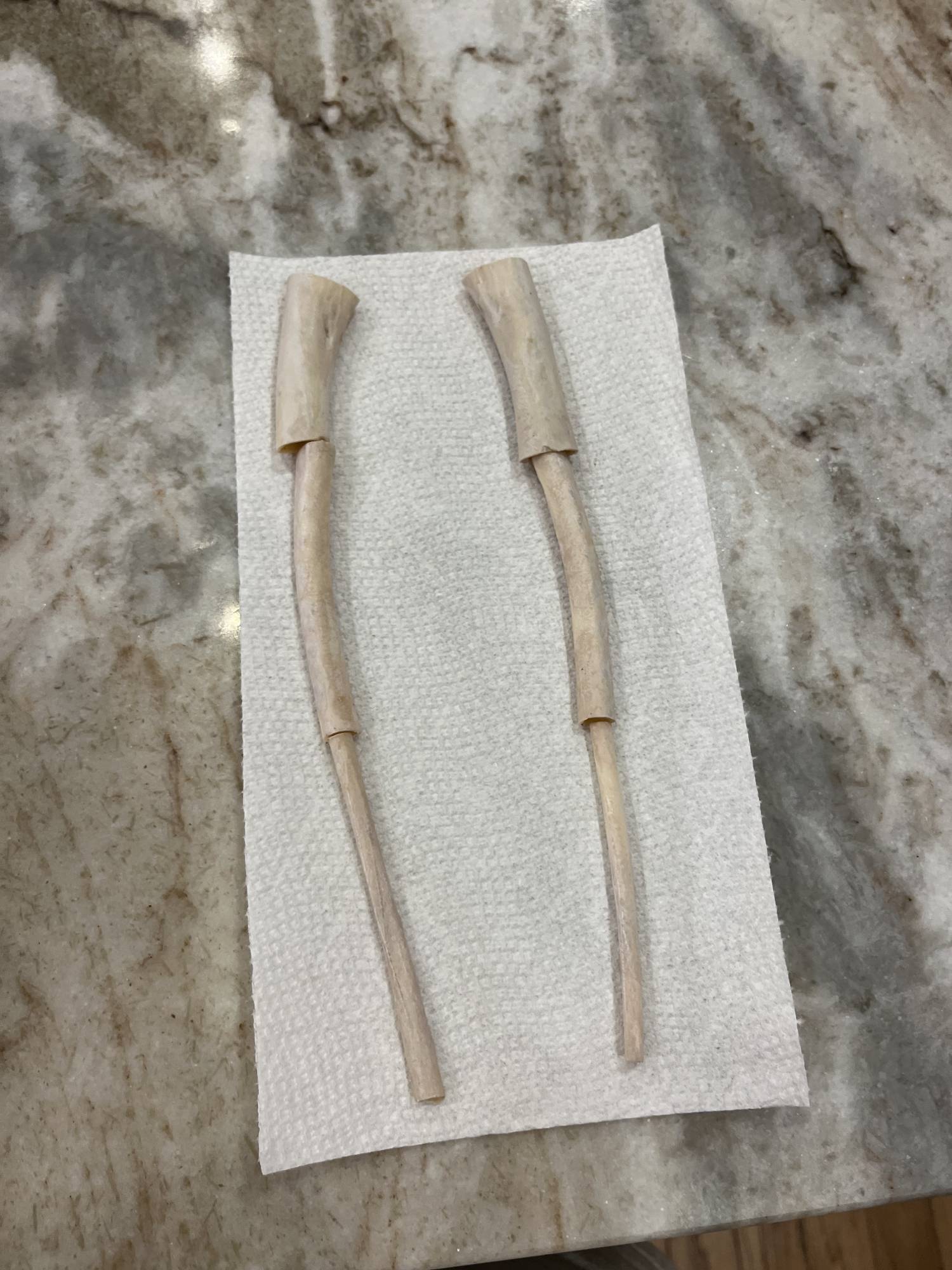wing bones