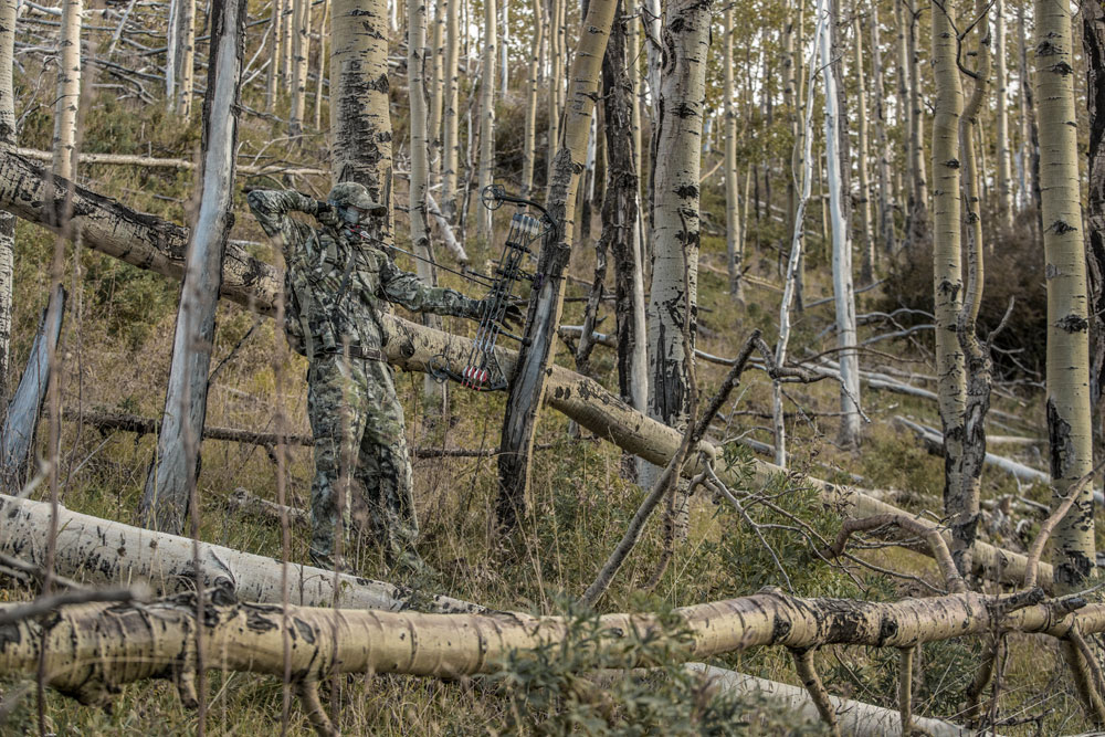 elk bowhunter