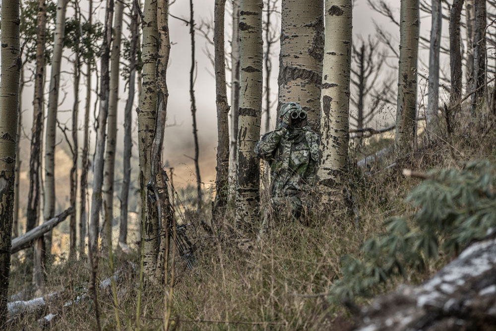 elk habitat