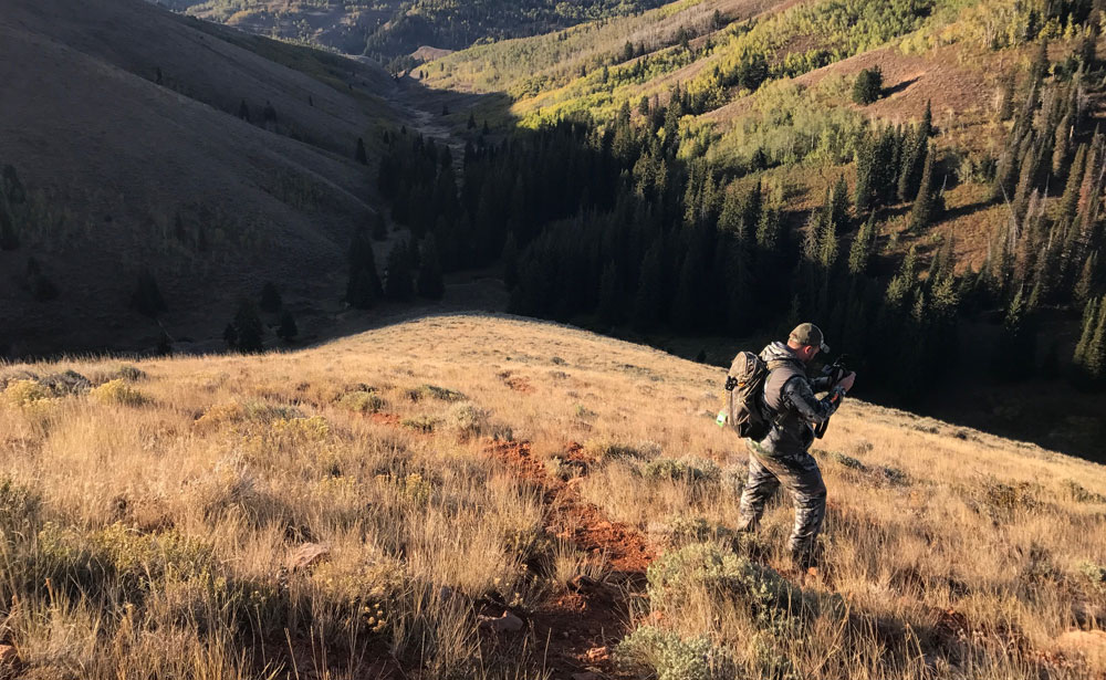 elk hunting