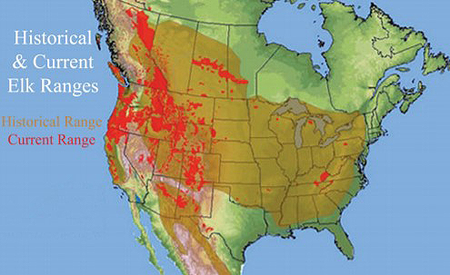 elk map