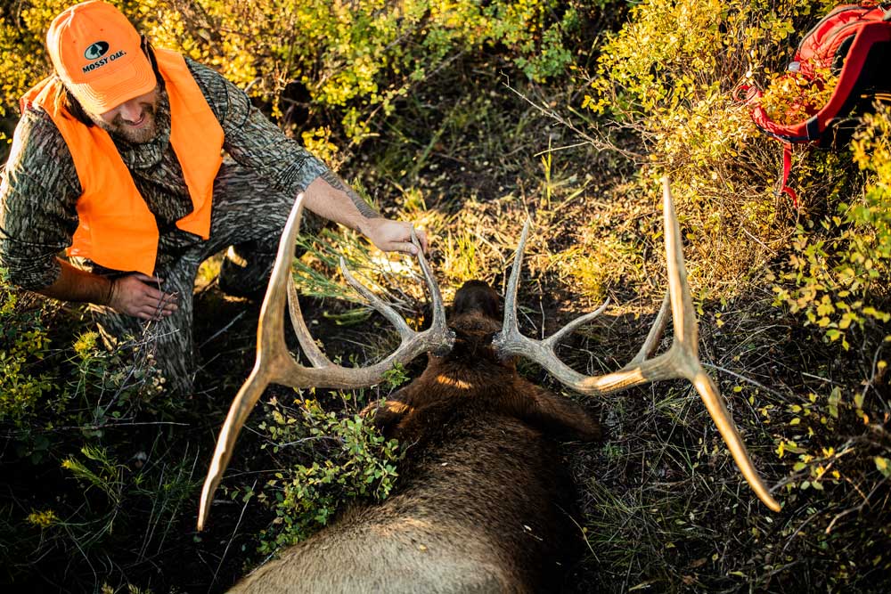 successful hunt elk rack