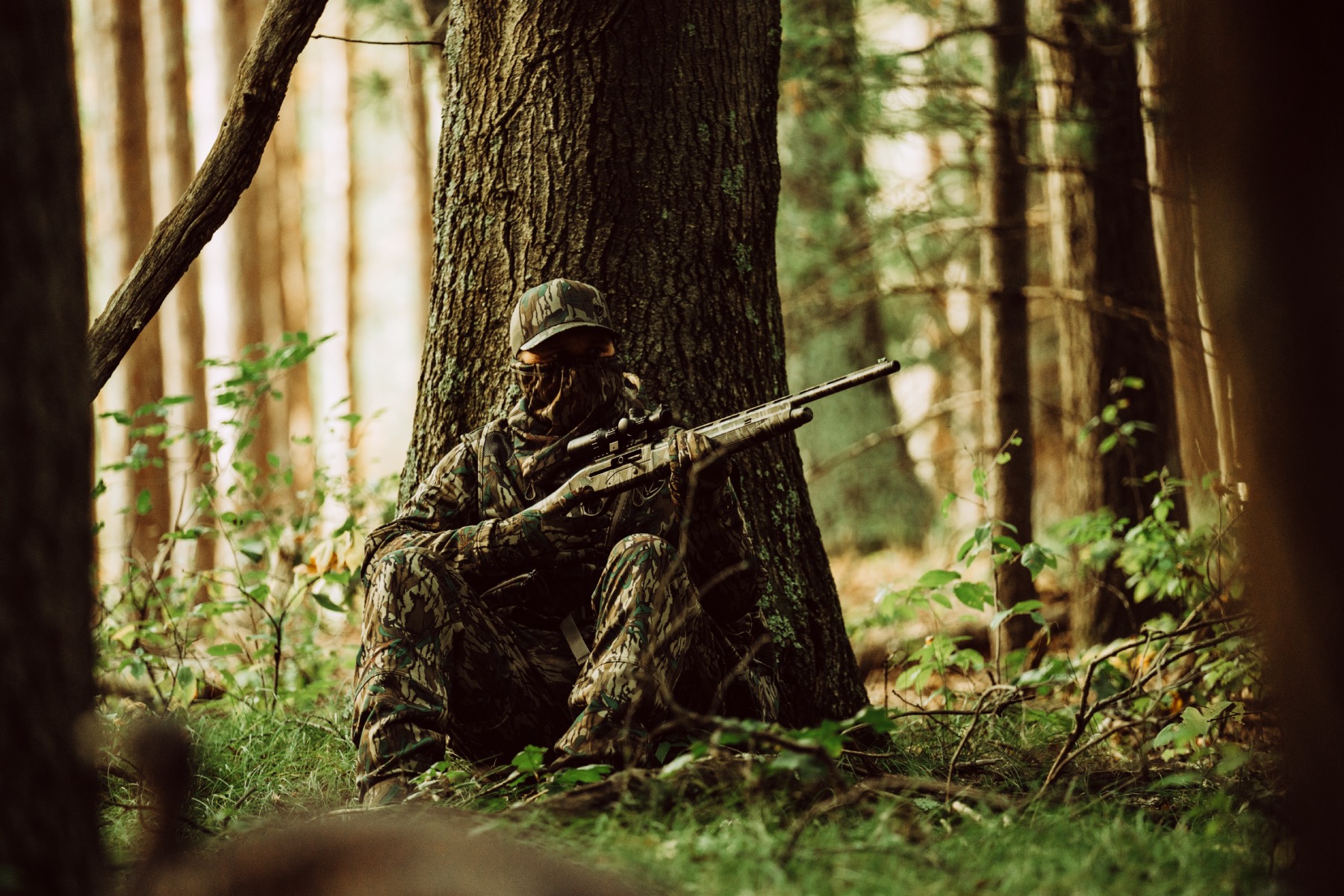 evening turkey hunting