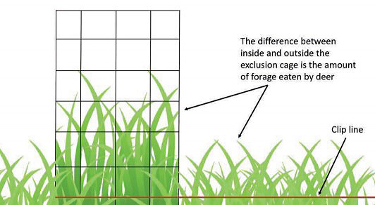 exclusion cage graph