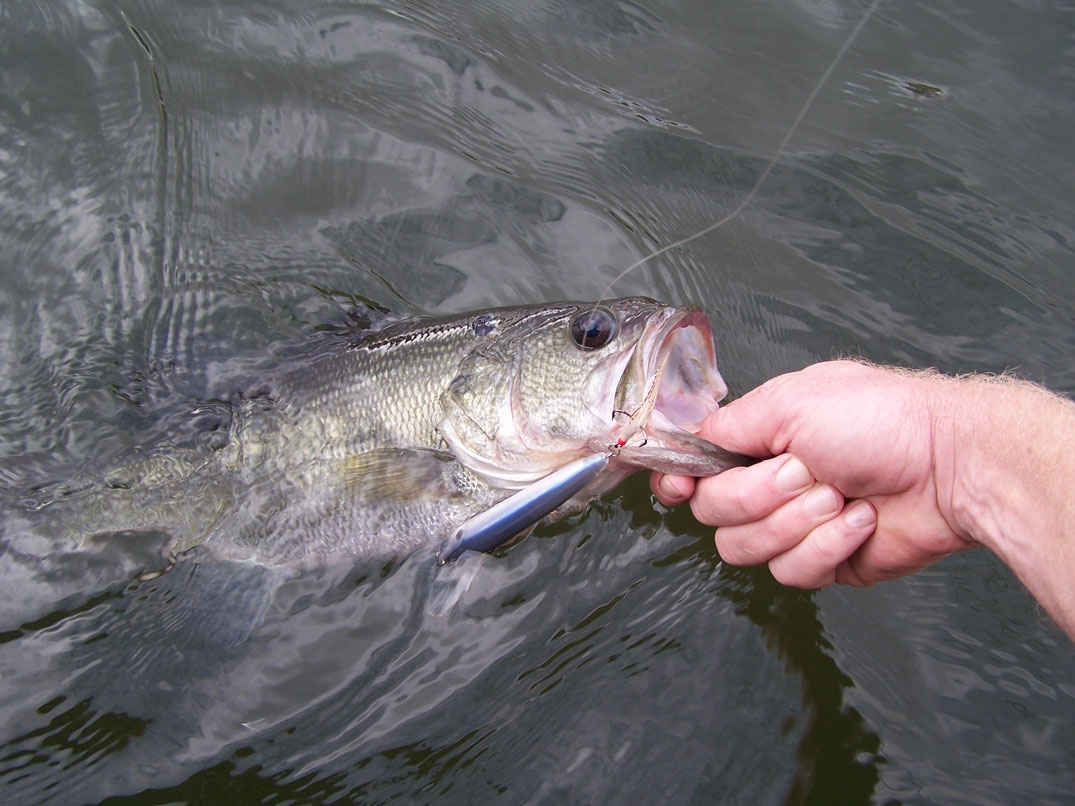 fall fishing