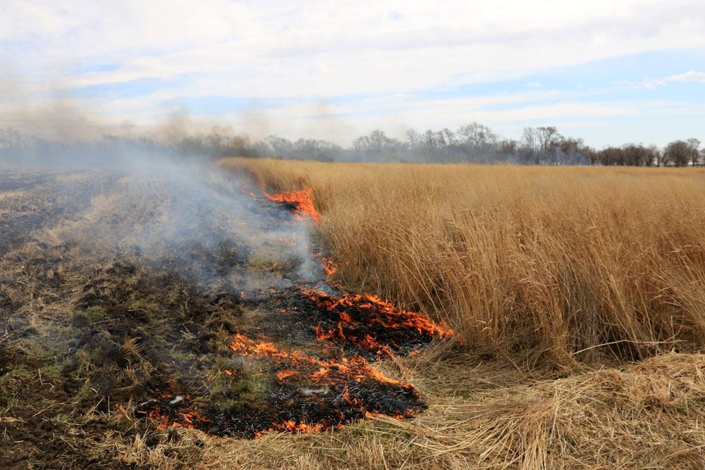 field burning