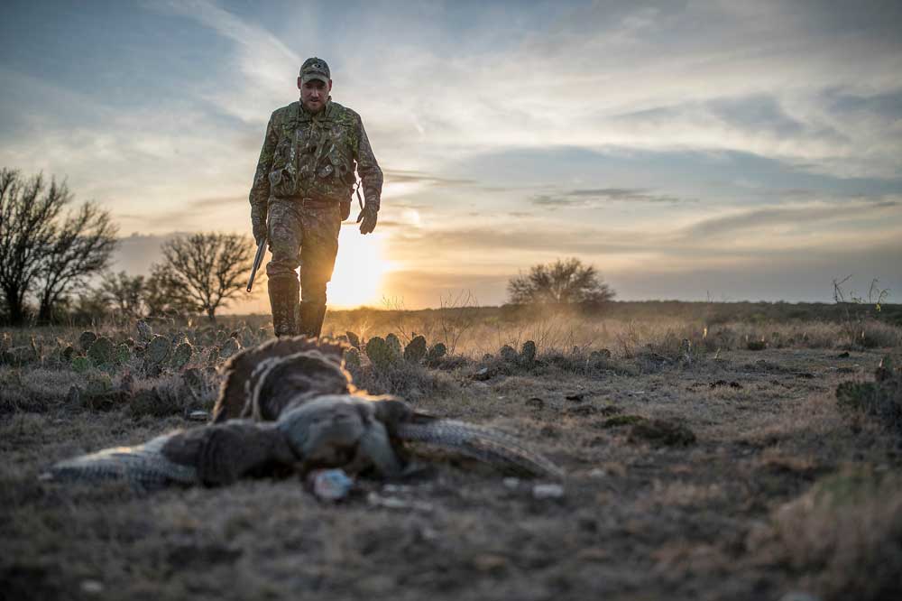 field gobbler