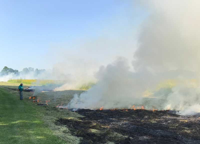 fire manager