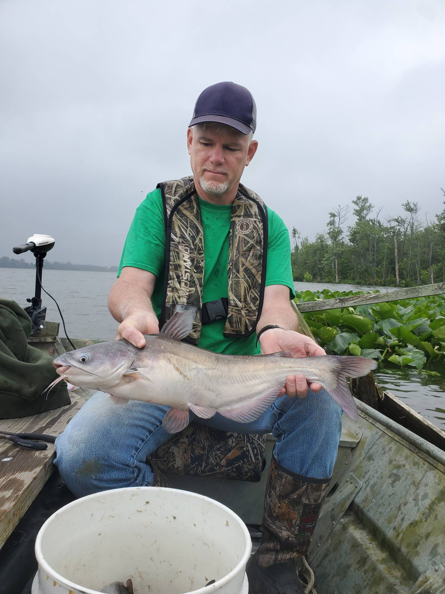 fishing for catfish
