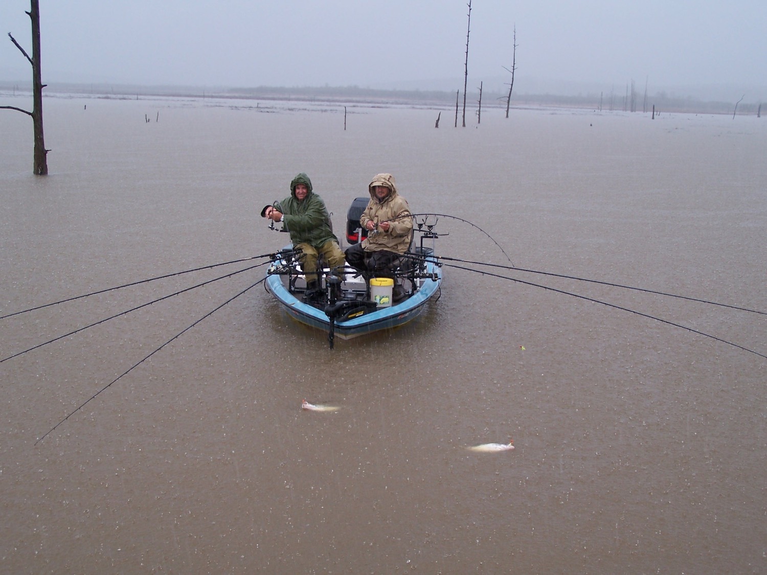 The Fishing and Barometric Pressure Relationship