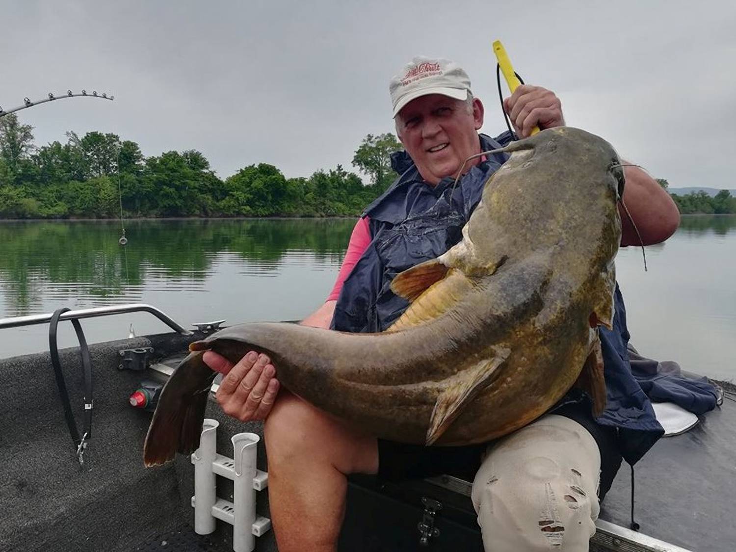 catfish