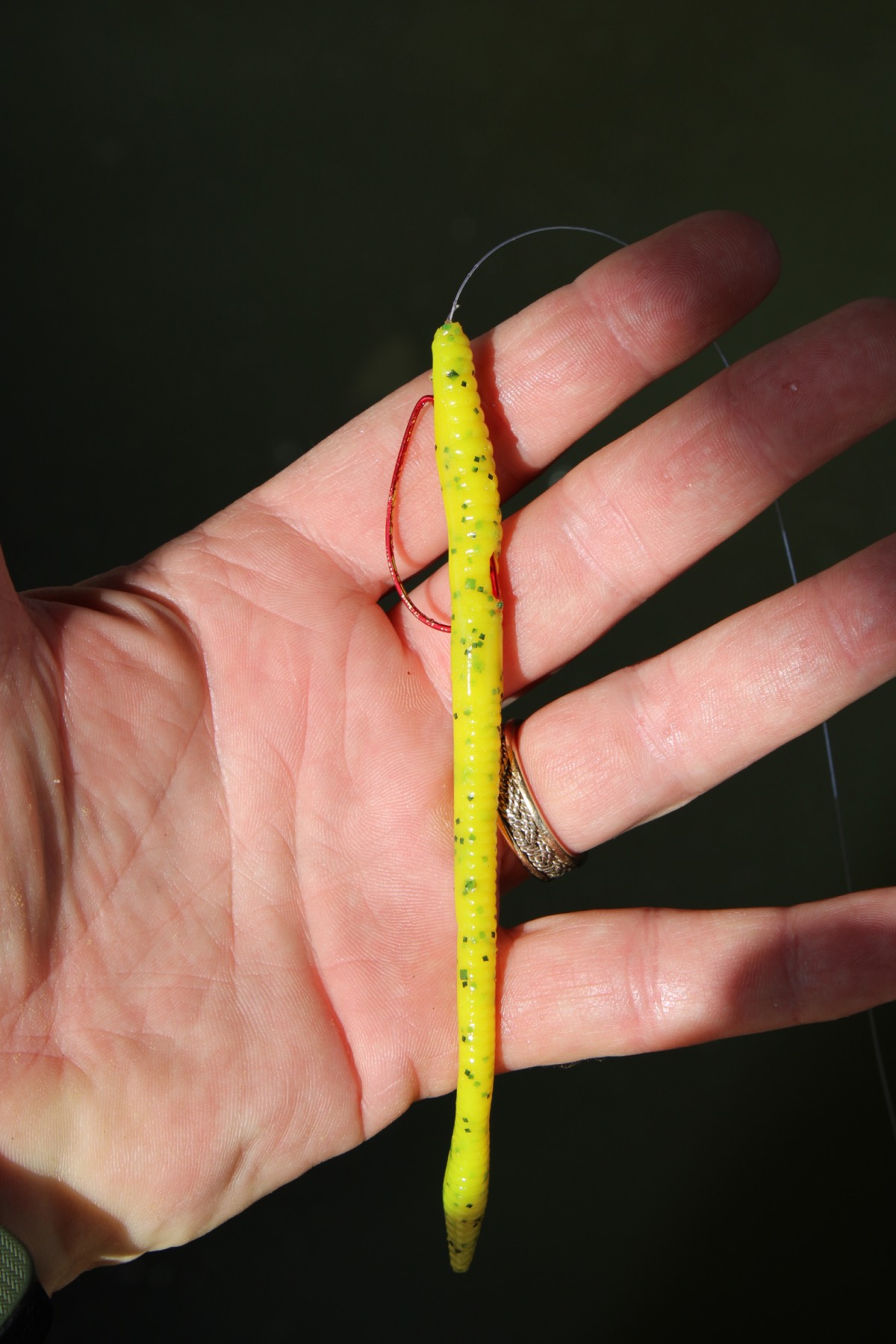 a man holds a worm