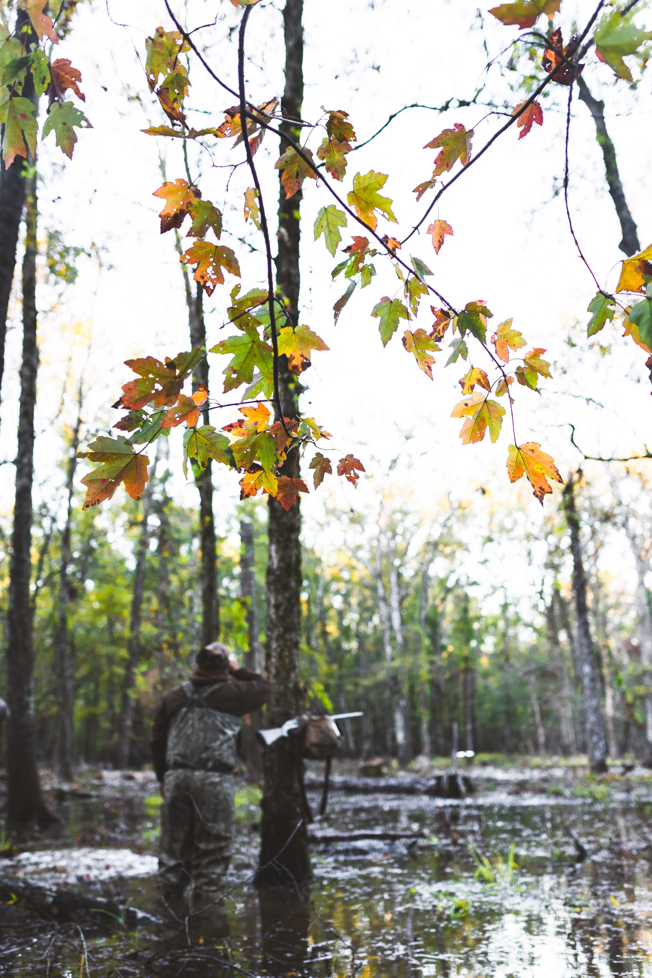 man standing in flooded timber