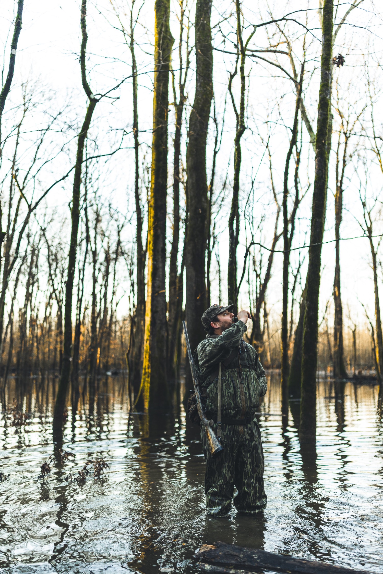flooded timber calling ducks
