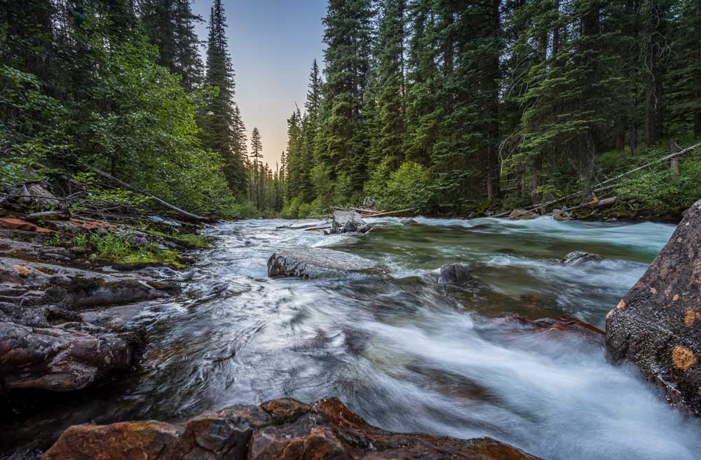 fly fishing stream