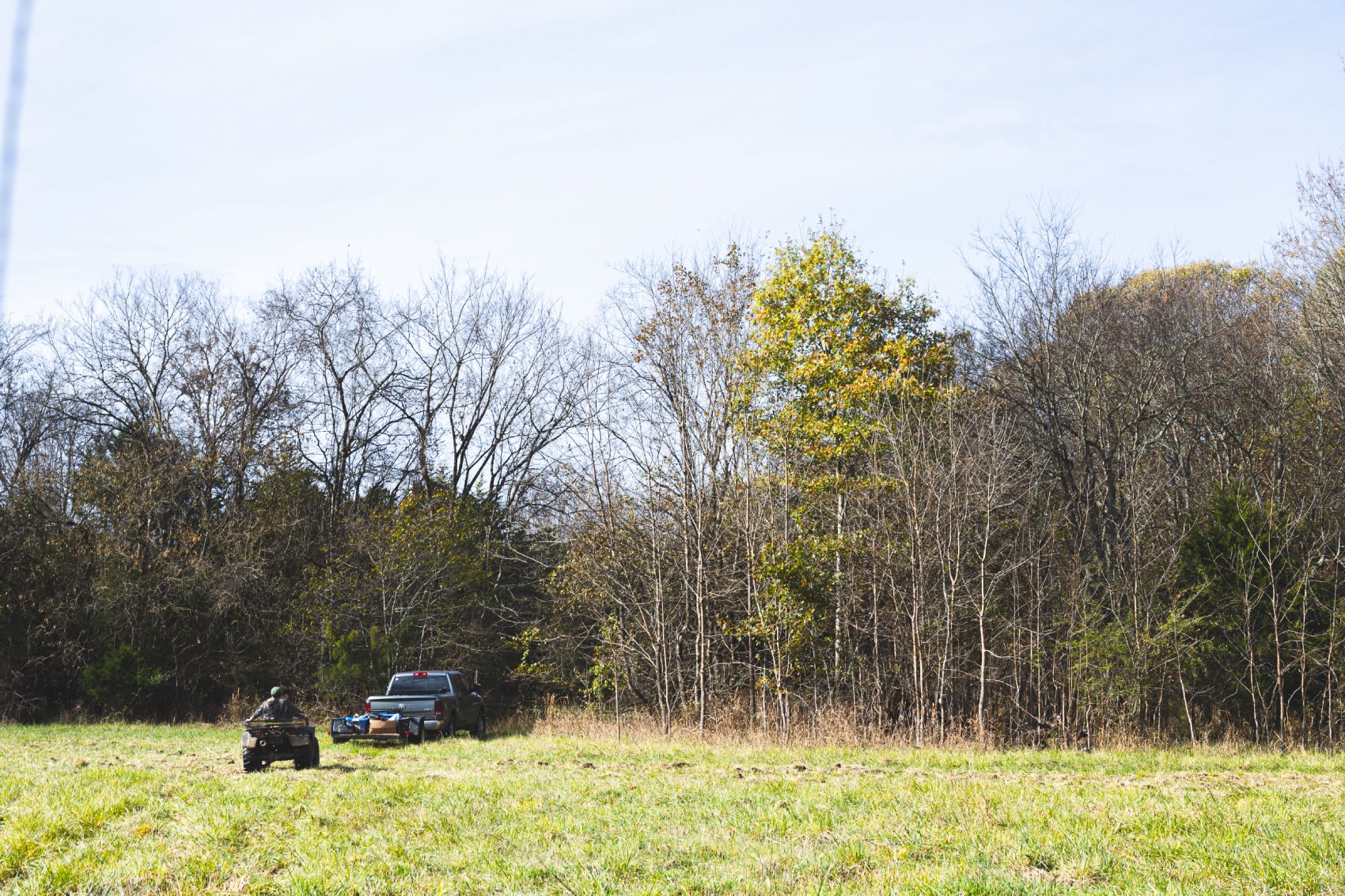 food plot