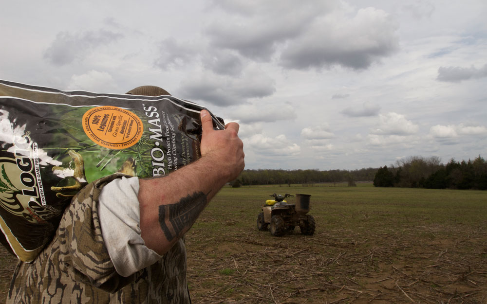 planting food plot