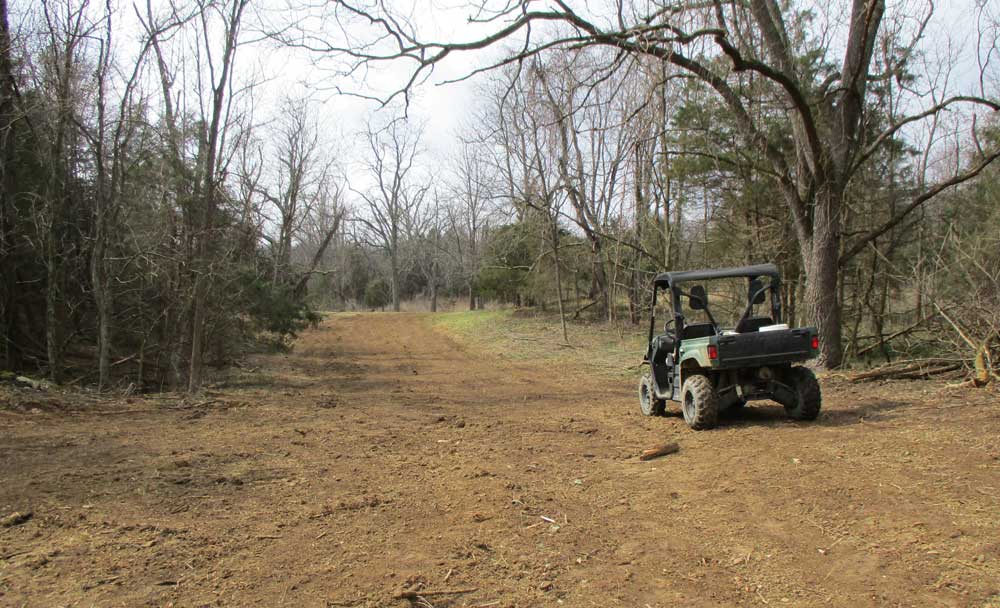 small deer food plot