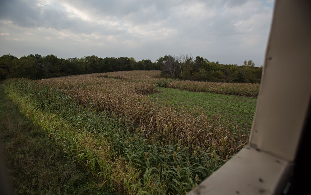 food plot overview