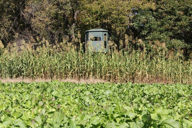 Food plot screen