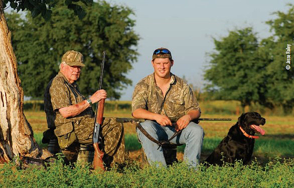Fox and Neill Haas dove hunting