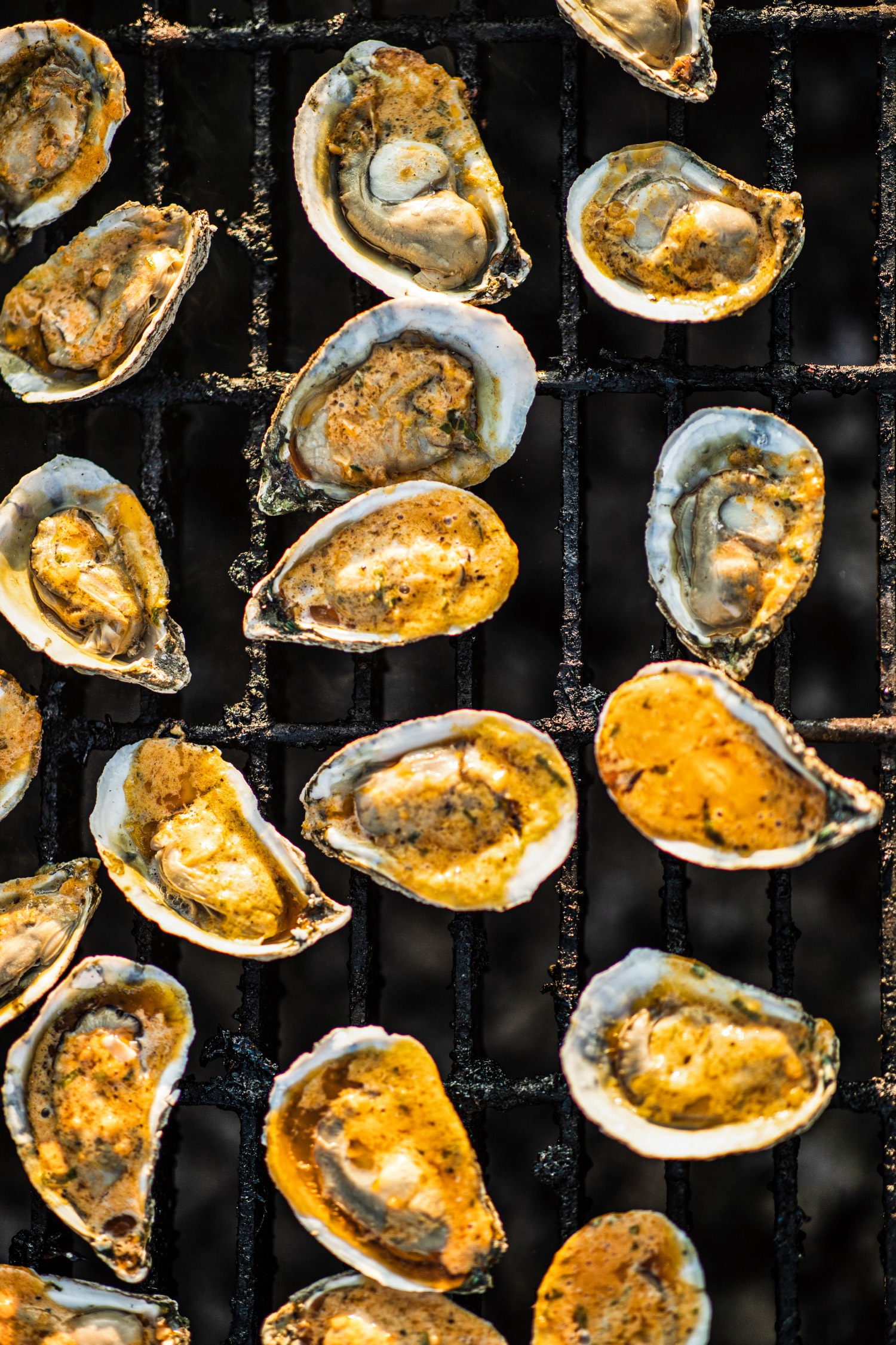 oysters on a grill