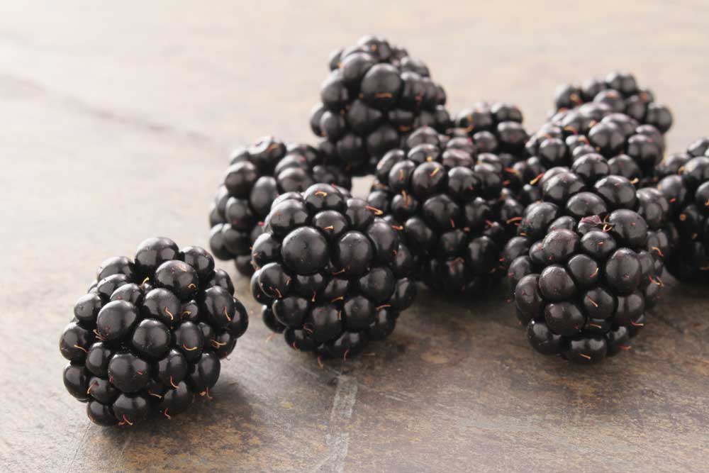 blackberries