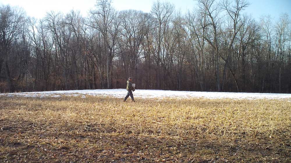 frost seeding clover