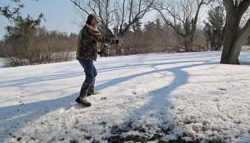 frost seeding