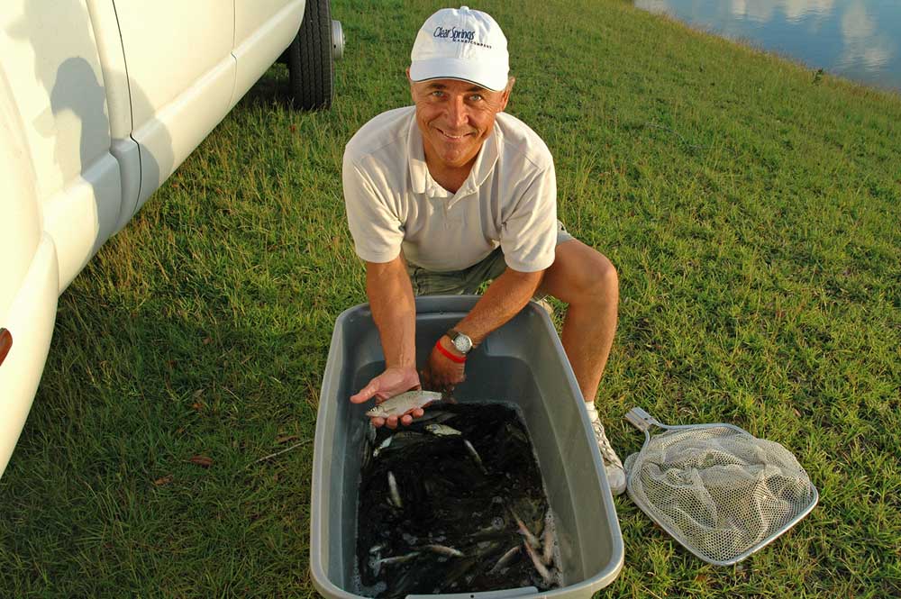 stocking shiners in pond