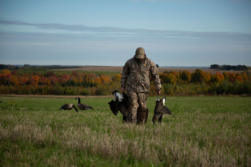 goose hunting