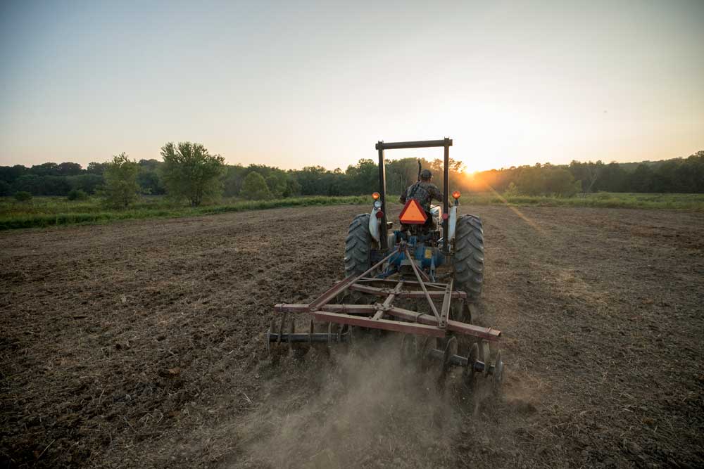 tractor planting