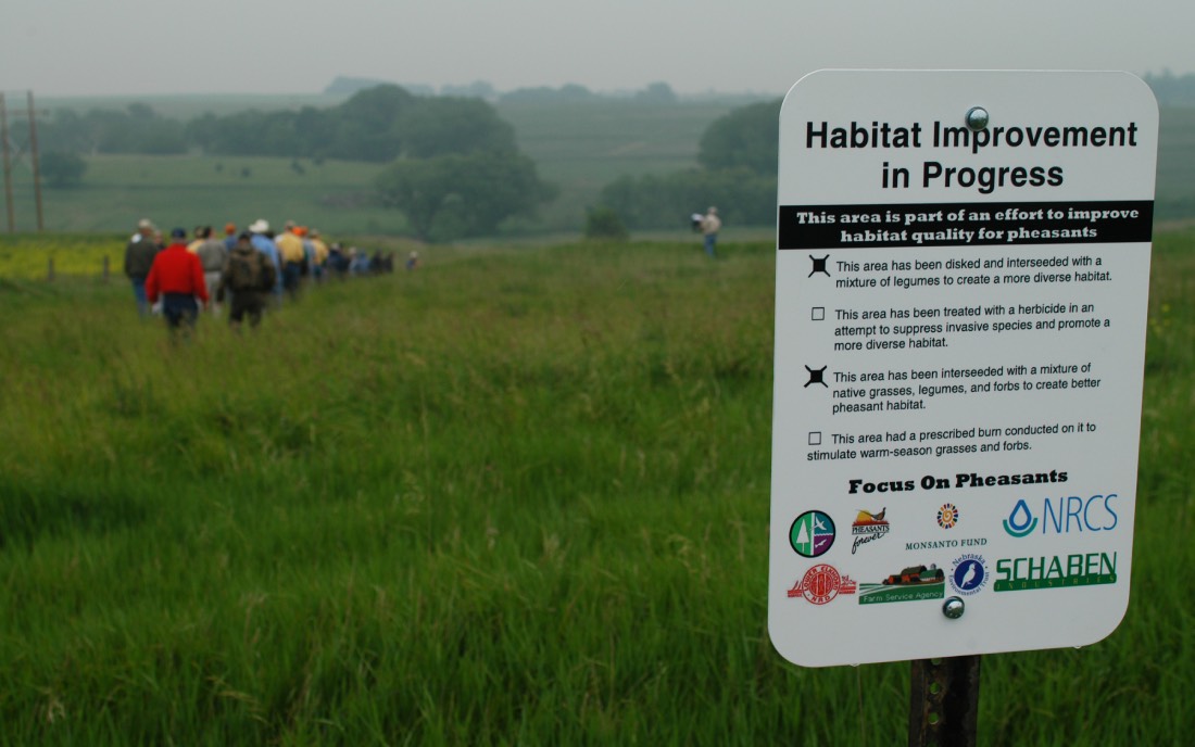 habitat improvement