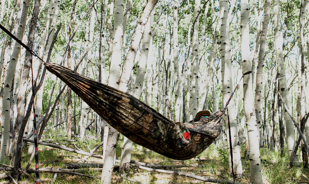 hammock