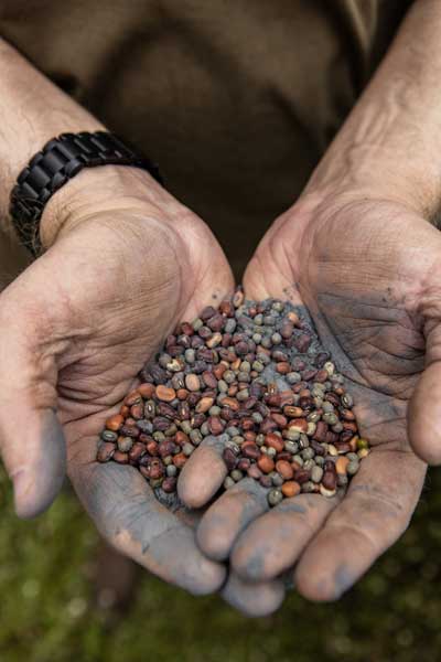 hand full of seed